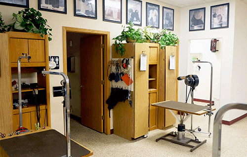 grooming room